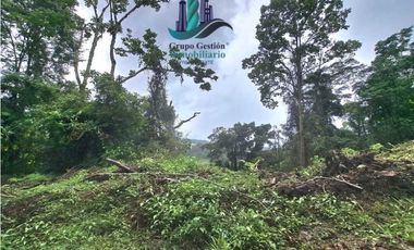 VENDO FINCA DE 51HECTAREA A 1500 M.S.N.M.