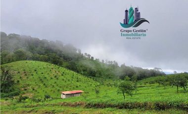 VENDO FINCA DE 51HECTAREA A 1500 M.S.N.M.