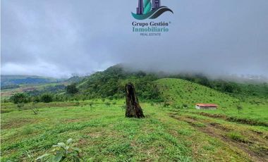 VENDO FINCA DE 51HECTAREA A 1500 M.S.N.M.