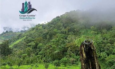 VENDO FINCA DE 51HECTAREA A 1500 M.S.N.M.