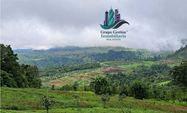 VENDO FINCA DE 51HECTAREA A 1500 M.S.N.M.