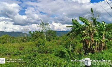 Land for sale in Si Don Chai, Chiang Rai