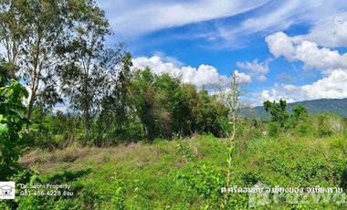 Land for sale in Si Don Chai, Chiang Rai