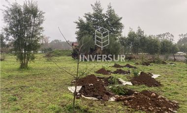 ARRIENDO TERRENO COMERCIAL A LA ENTRADA DE RIO BUENO