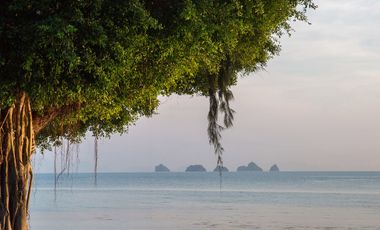6 Bedroom Villa for sale in Lipa Noi, Surat Thani
