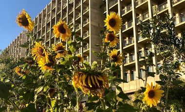 Departamento en venta en Altos Garden Juriquilla