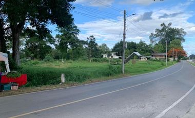 Land for sale in Ban Waen, Chiang Mai