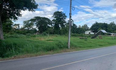 Land for sale in Ban Waen, Chiang Mai