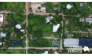 VIVERO EN VENTA 3150 M2 EN COPALITA