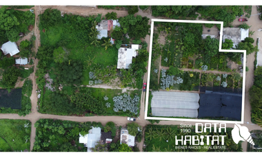 VIVERO EN VENTA 3150 M2 EN COPALITA