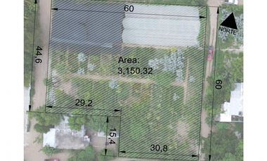 VIVERO EN VENTA 3150 M2 EN COPALITA