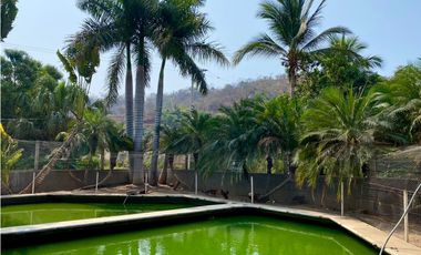 GRANJA EN VENTA EN COPALITA