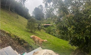 CASA EN VENTA Y ARRIENDO SECTOR LAS PALMAS