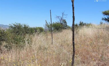 Sitio en Venta en lomas del sol