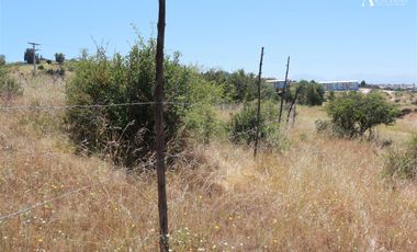 Sitio en Venta en lomas del sol