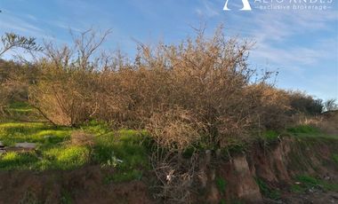 Sitio en Venta en lomas del sol