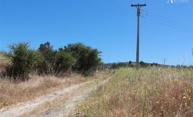 Sitio en Venta en lomas del sol