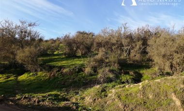 Sitio en Venta en lomas del sol quilpue