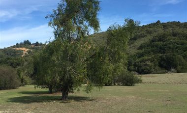 Parcela en Venta en melosilla