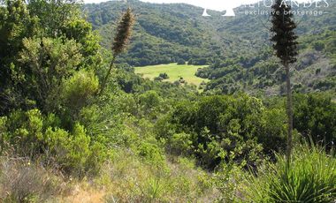 Parcela en Venta en melosilla