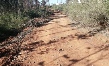 Sitio en Venta en camino la polvora