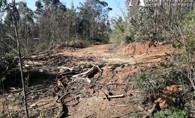 Sitio en Venta en camino la polvora