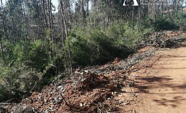 Sitio en Venta en camino la polvora