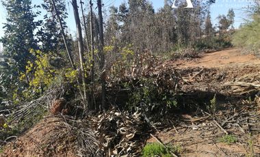 Sitio en Venta en camino la polvora