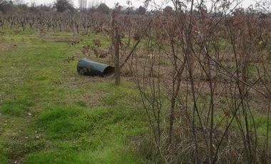 Sitio en Venta en club de polo
