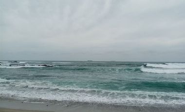 Sitio en Venta en Las cruces