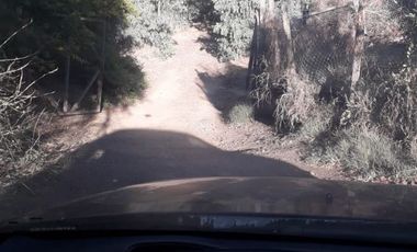 Sitio en Venta en escuela el patagual G-399