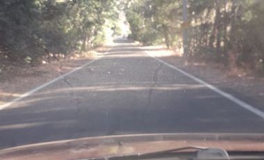 Sitio en Venta en escuela el patagual G-399