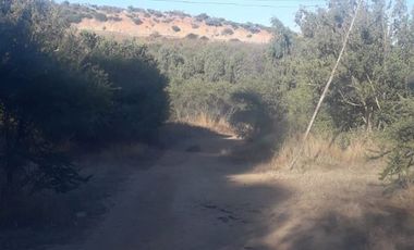 Sitio en Venta en escuela el patagual G-399