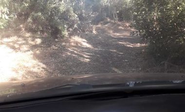 Sitio en Venta en escuela el patagual G-399