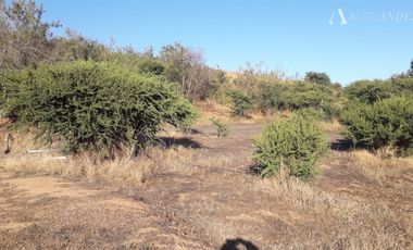 Sitio en Venta en escuela el patagual G-399