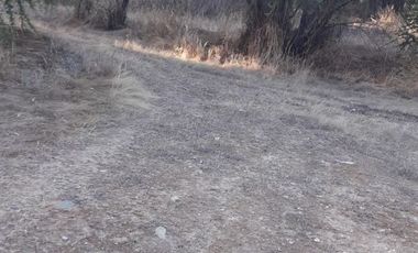 Sitio en Venta en escuela el patagual G-399