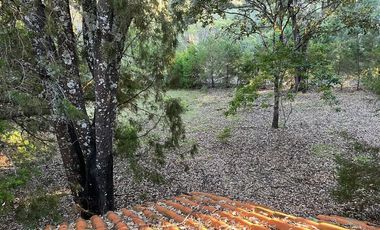 Casa en Venta en Reserva de los Encinos Arenal