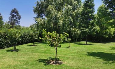 Oportunidad - Tasacion UF 36.000