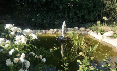 Amplia y hermosa parcela con 2 casas en sector El principal