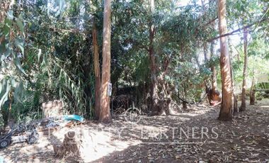 Amplia parcela ideal para inversión en sector Majadas de Pirque