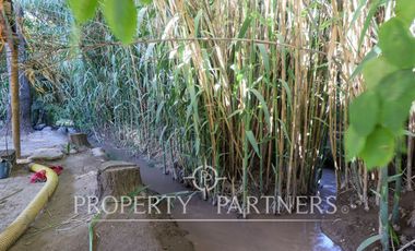 Amplia parcela ideal para inversión en sector Majadas de Pirque