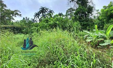 VENDO CASA CON 1HECTAREA FRONTERA