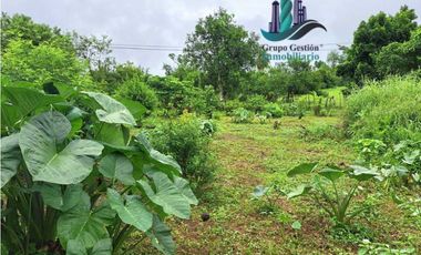 VENDO CASA CON 1HECTAREA FRONTERA