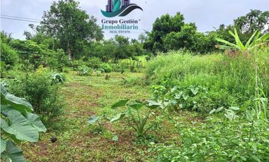 VENDO CASA CON 1HECTAREA FRONTERA