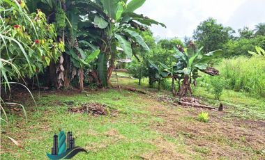 VENDO CASA CON 1HECTAREA FRONTERA