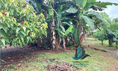 VENDO CASA CON 1HECTAREA FRONTERA