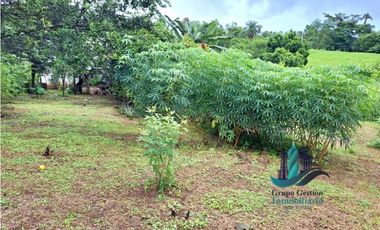 VENDO CASA CON 1HECTAREA FRONTERA