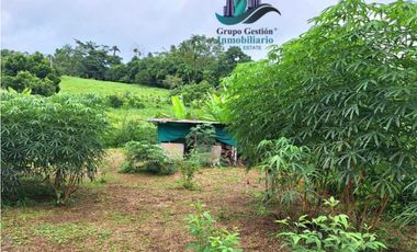 VENDO CASA CON 1HECTAREA FRONTERA