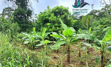 VENDO CASA CON 1HECTAREA FRONTERA