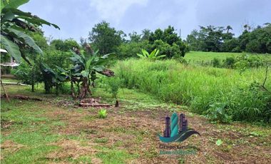 VENDO CASA CON 1HECTAREA FRONTERA